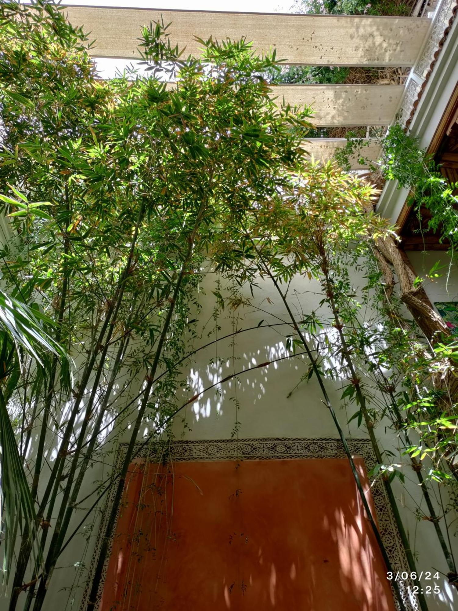 Appartement Made In Berbere à Marrakesh Extérieur photo